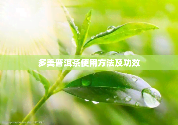 多美普洱茶使用方法及功效