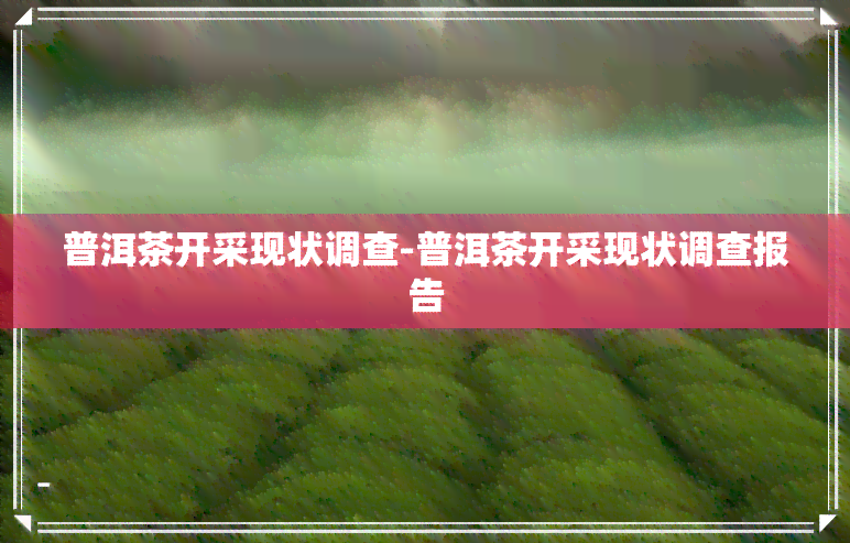 普洱茶开采现状调查-普洱茶开采现状调查报告