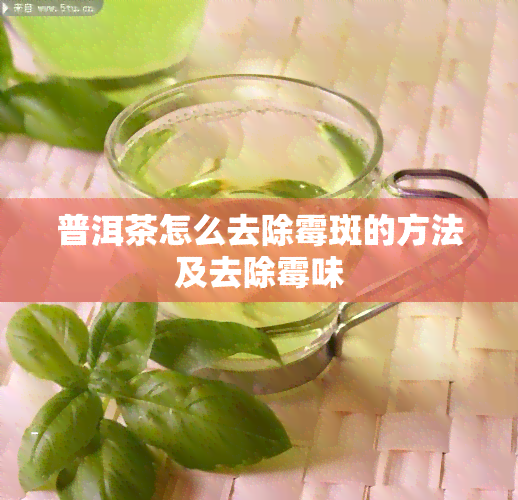 普洱茶怎么去除霉斑的方法及去除霉味