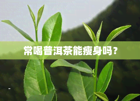 常喝普洱茶能瘦身吗？