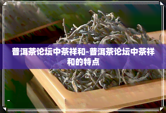 普洱茶论坛中茶祥和-普洱茶论坛中茶祥和的特点