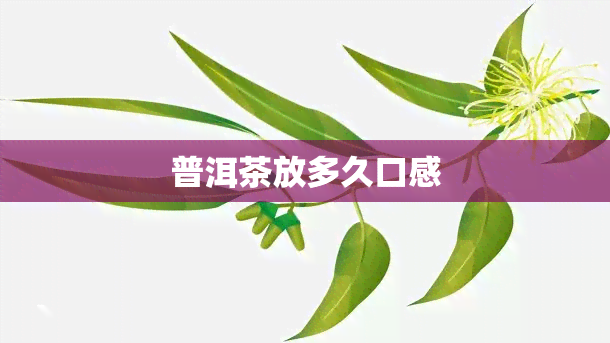 普洱茶放多久口感