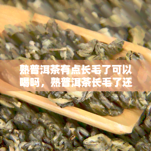 熟普洱茶有点长毛了可以喝吗，熟普洱茶长毛了还能喝吗