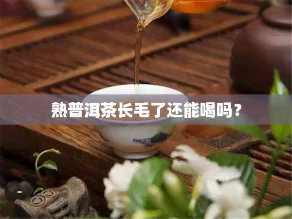 熟普洱茶长毛了还能喝吗？