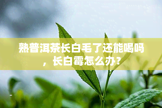 熟普洱茶长白毛了还能喝吗，长白霉怎么办？