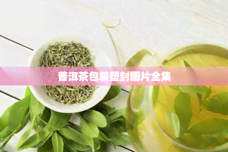 普洱茶包装塑封图片全集