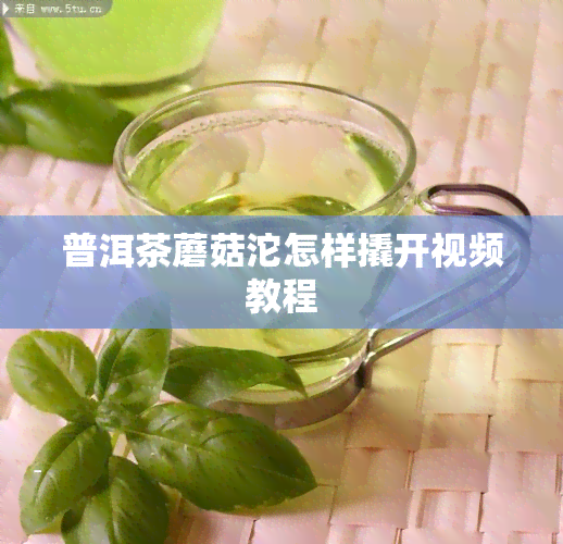 普洱茶蘑菇沱怎样撬开视频教程