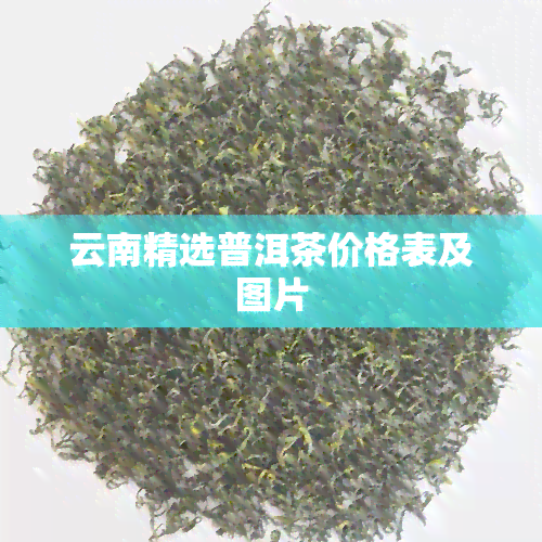 云南精选普洱茶价格表及图片