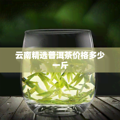 云南精选普洱茶价格多少一斤