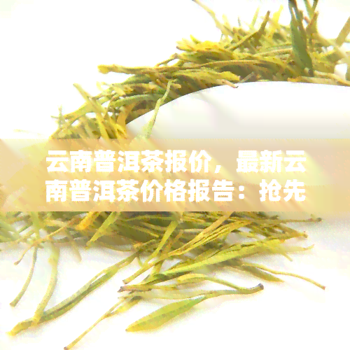 云南普洱茶报价，最新云南普洱茶价格报告：抢先了解行情！