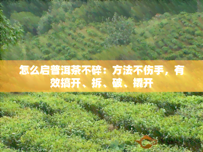 怎么启普洱茶不碎：方法不伤手，有效搞开、拆、破、撬开