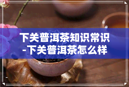 下关普洱茶知识常识-下关普洱茶怎么样