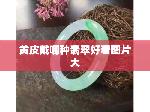 黄皮戴哪种翡翠好看图片大