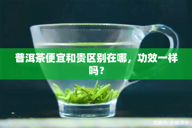 普洱茶便宜和贵区别在哪，功效一样吗？