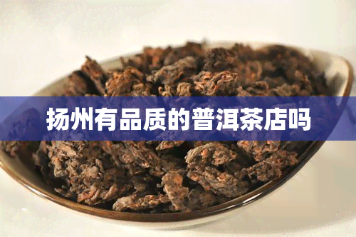 扬州有品质的普洱茶店吗