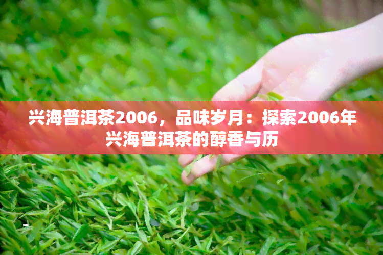 兴海普洱茶2006，品味岁月：探索2006年兴海普洱茶的醇香与历