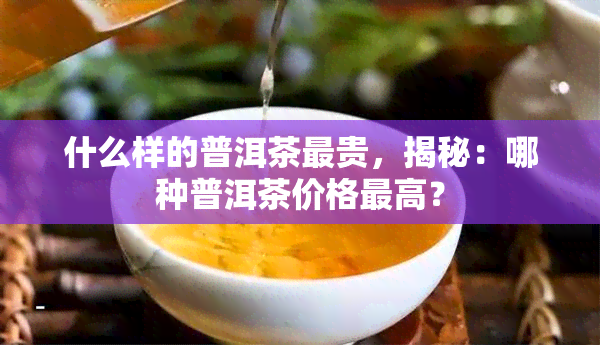 什么样的普洱茶最贵，揭秘：哪种普洱茶价格更高？