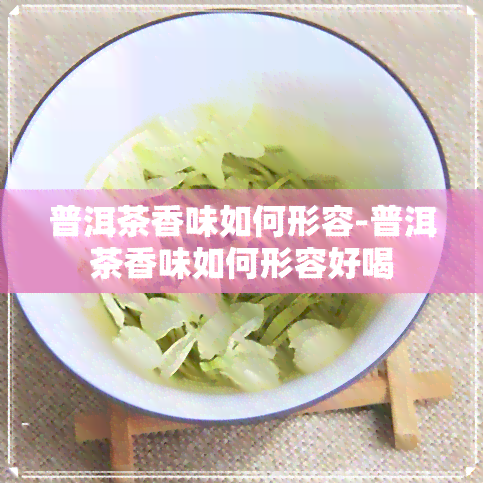 普洱茶香味如何形容-普洱茶香味如何形容好喝