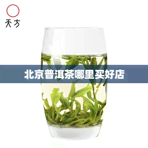 北京普洱茶哪里买好店