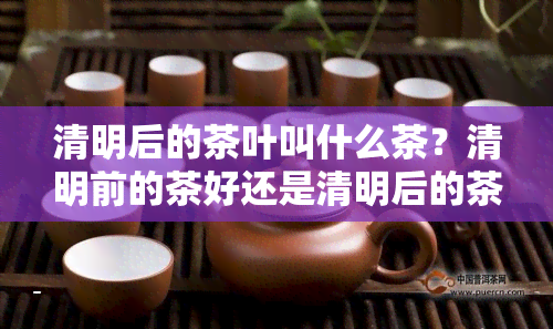 清明后的茶叶叫什么茶？清明前的茶好还是清明后的茶好喝？