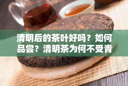 清明后的茶叶好吗？如何品尝？清明茶为何不受青睐？