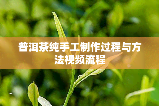 普洱茶纯手工制作过程与方法视频流程