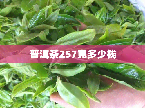 普洱茶257克多少钱