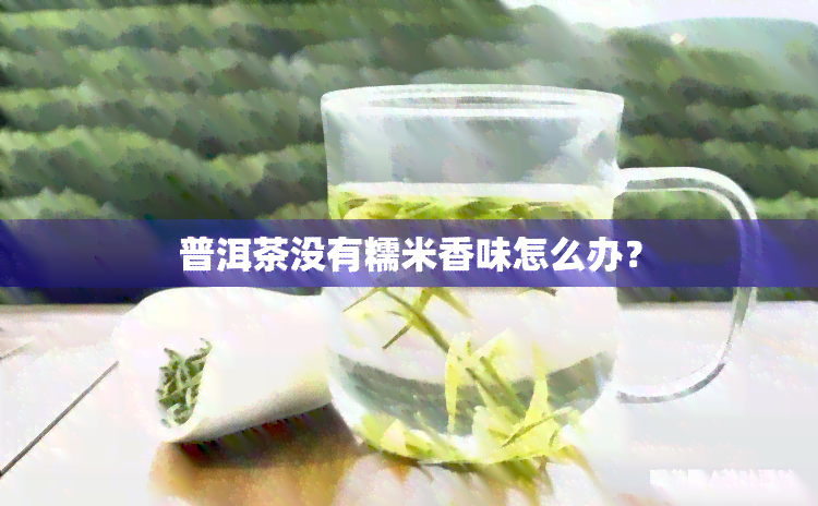 普洱茶没有糯米香味怎么办？