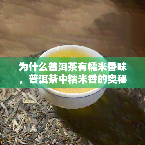 为什么普洱茶有糯米香味，普洱茶中糯米香的奥秘：探究背后的原因