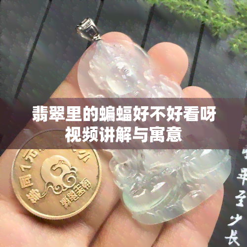 翡翠里的蝙蝠好不好看呀视频讲解与寓意