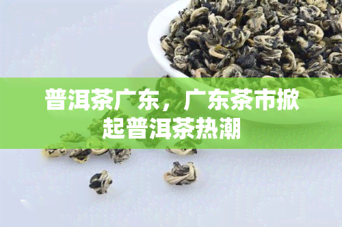 普洱茶广东，广东茶市掀起普洱茶热潮