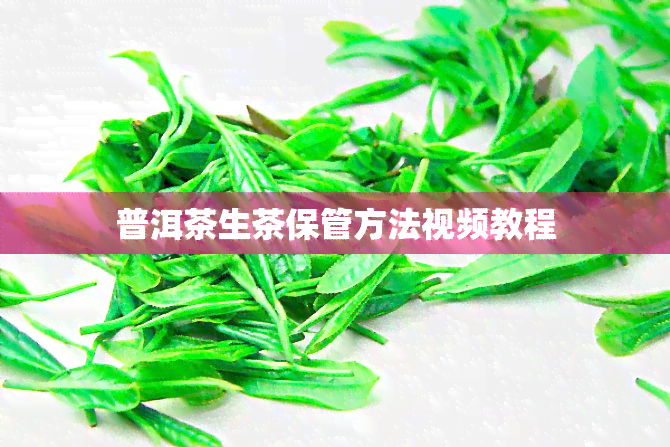 普洱茶生茶保管方法视频教程