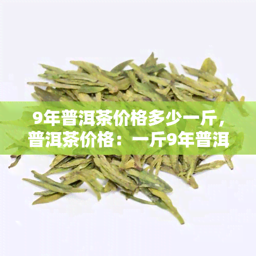 9年普洱茶价格多少一斤，普洱茶价格：一斤9年普洱茶多少钱？