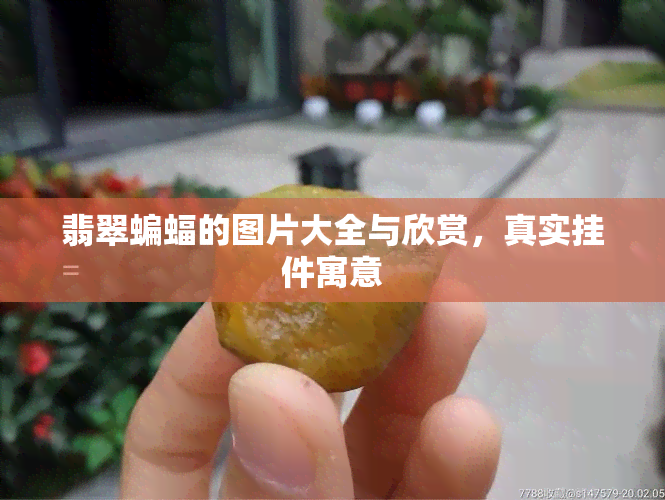 翡翠蝙蝠的图片大全与欣赏，真实挂件寓意