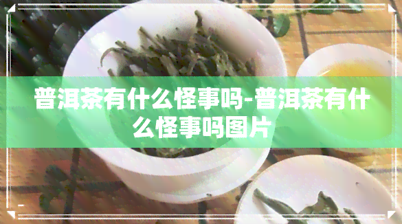 普洱茶有什么怪事吗-普洱茶有什么怪事吗图片