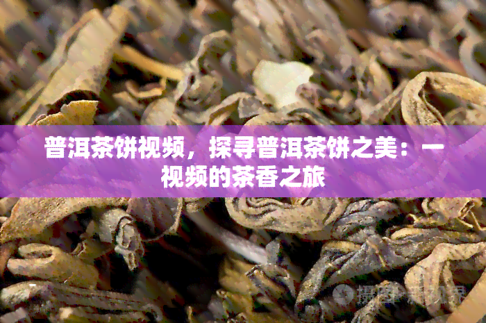 普洱茶饼视频，探寻普洱茶饼之美：一视频的茶香之旅