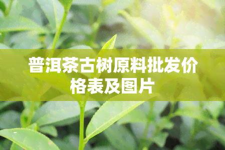 普洱茶古树原料批发价格表及图片