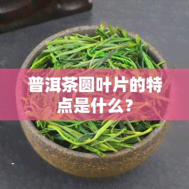 普洱茶圆叶片的特点是什么？