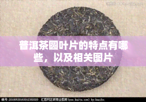 普洱茶圆叶片的特点有哪些，以及相关图片