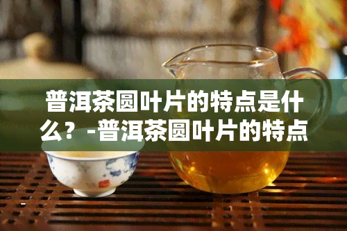 普洱茶圆叶片的特点是什么？-普洱茶圆叶片的特点是什么呢