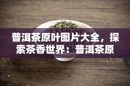 普洱茶原叶图片大全，探索茶香世界：普洱茶原叶全景图鉴