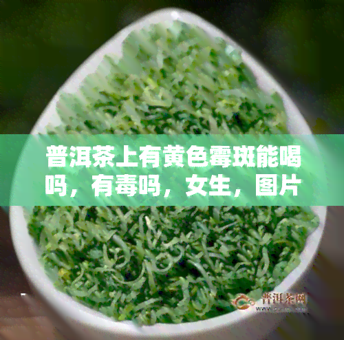 普洱茶上有黄色霉斑能喝吗，有吗，女生，图片？