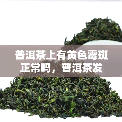 普洱茶上有黄色霉斑正常吗，普洱茶发霉：正常现象还是质量问题？