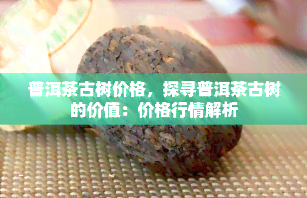 普洱茶古树价格，探寻普洱茶古树的价值：价格行情解析