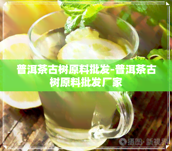 普洱茶古树原料批发-普洱茶古树原料批发厂家