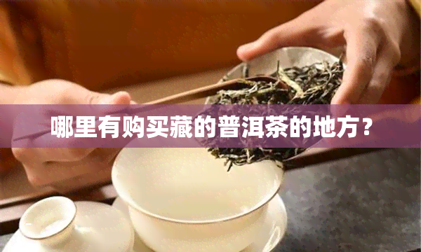 哪里有购买藏的普洱茶的地方？