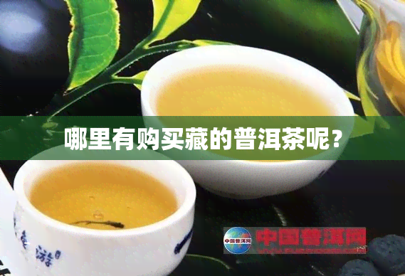 哪里有购买藏的普洱茶呢？