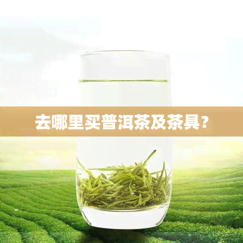 去哪里买普洱茶及茶具？