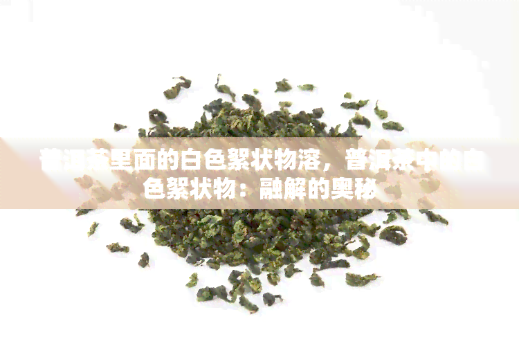 普洱茶里面的白色絮状物溶，普洱茶中的白色絮状物：融解的奥秘