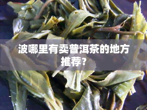 波哪里有卖普洱茶的地方推荐？